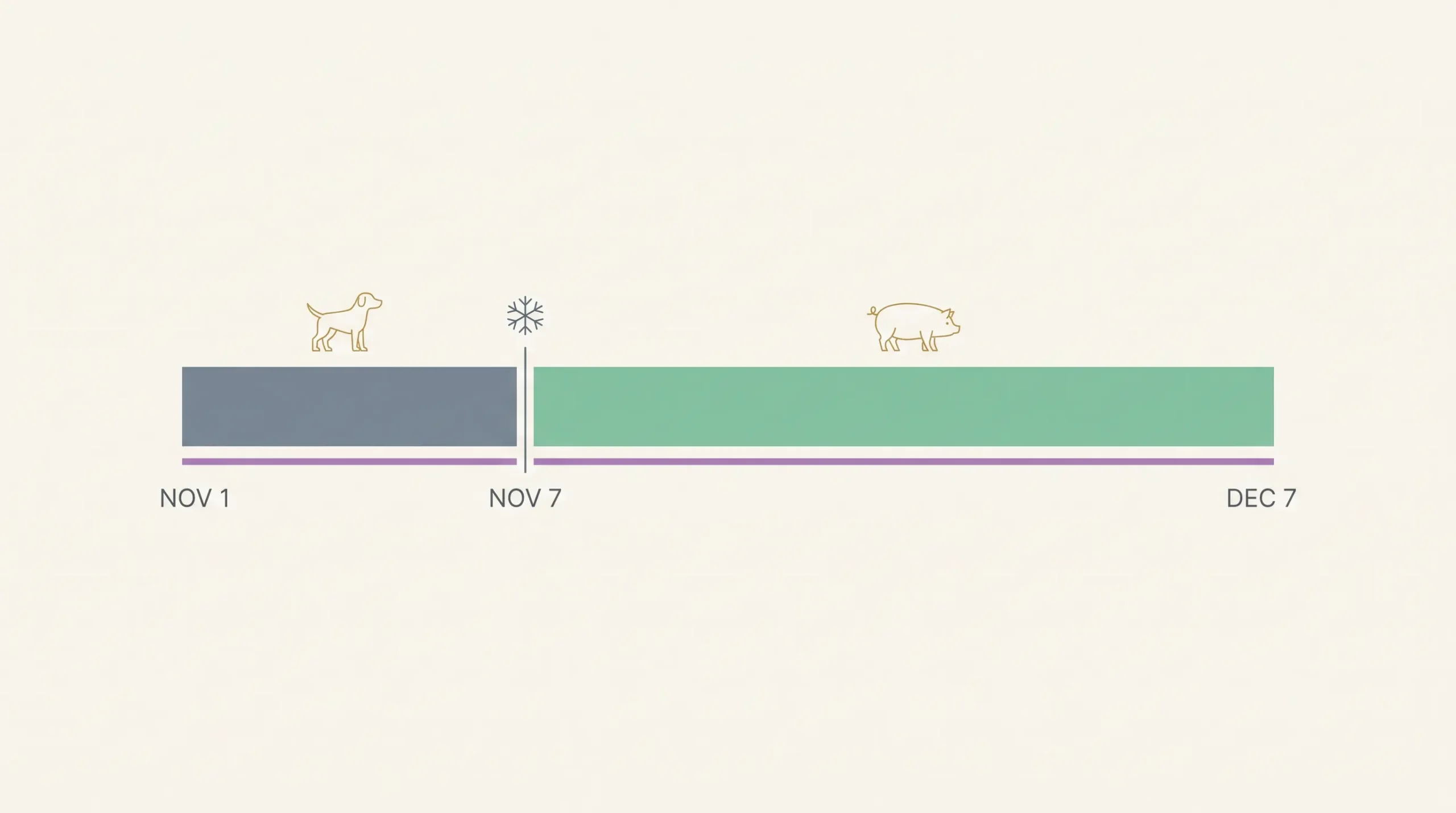Timeline showing November 2026 split between the Dog month and the Pig month starting at Lidong on November 7