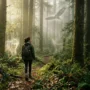 Comment trouver son guide animal totem Comment trouver son animal totem
