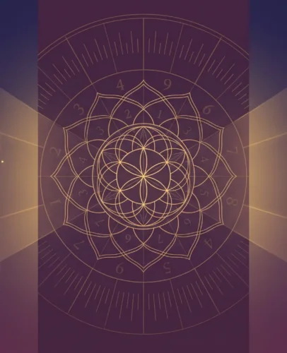 Split illustration comparing angel numbers, numerology, and zodiac signs against a starry purple and gold background